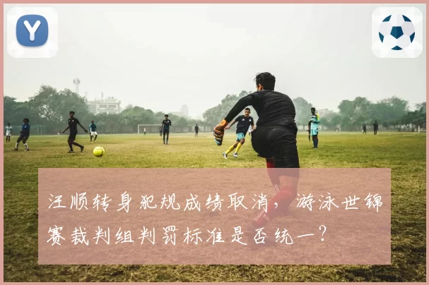 汪顺转身犯规成绩取消,游泳世锦赛裁判组判罚标准是否统一?