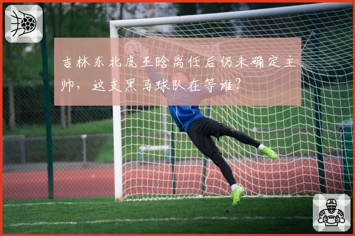 吉林东北虎王晗离任后仍未确定主帅，这支黑马球队在等谁？
