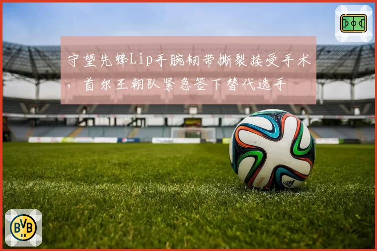 守望先锋Lip手腕韧带撕裂接受手术，首尔王朝队紧急签下替代选手