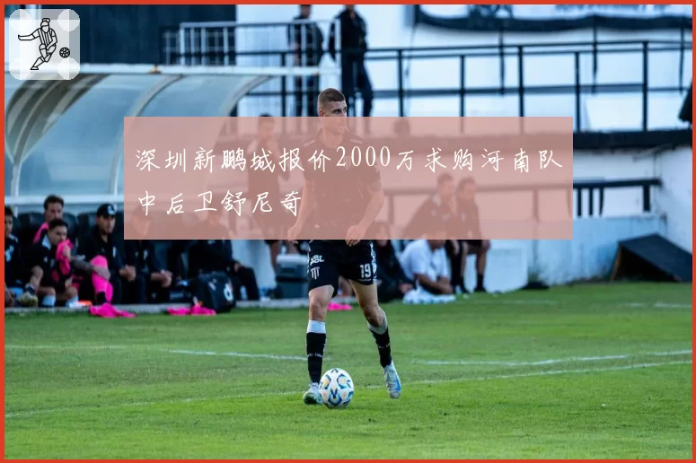深圳新鹏城报价2000万求购河南队中后卫舒尼奇