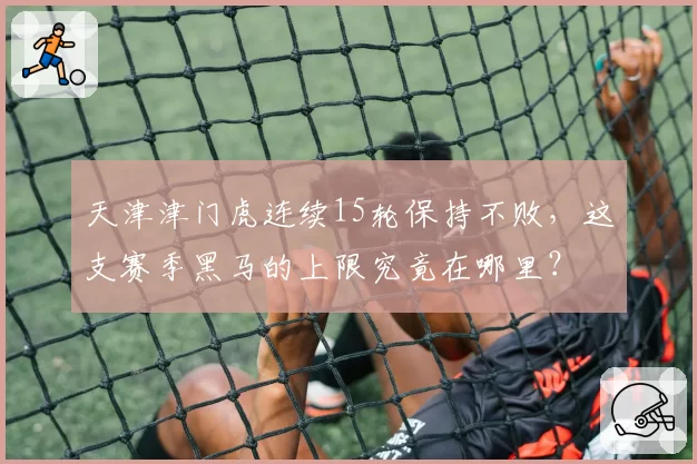 天津津门虎连续15轮保持不败，这支赛季黑马的上限究竟在哪里？