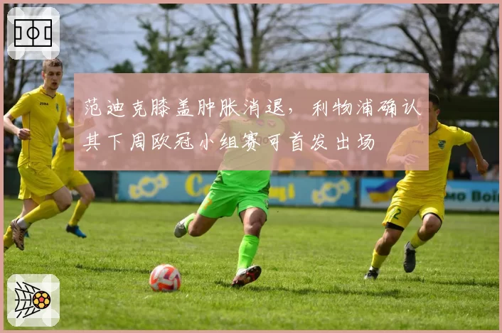 范迪克膝盖肿胀消退,利物浦确认其下周欧冠小组赛可首发出场
