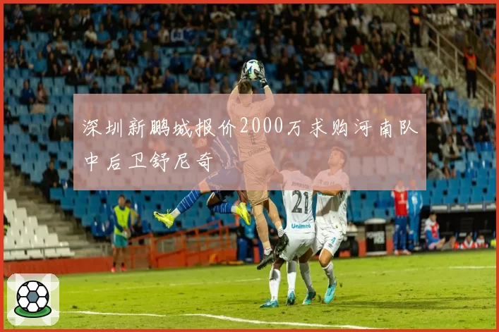 深圳新鹏城报价2000万求购河南队中后卫舒尼奇