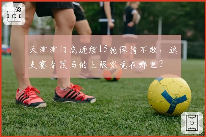 天津津门虎连续15轮保持不败，这支赛季黑马的上限究竟在哪里？